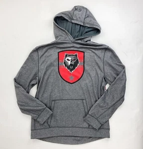 Ridgemont Wolves Training Pullover Hoodie Youth Boy's Girl's L Gray BSN3005 - Picture 1 of 2