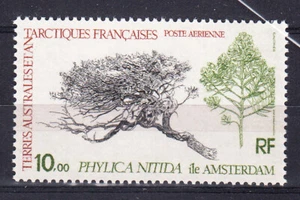 W FRENCH SOUTHERN & ANTARTIC TERRITORY C59 PHYLICA NITIDA TREE - Picture 1 of 1