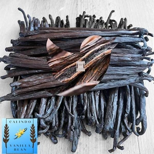 1 oz Fresh Madagascar Vanilla Beans Grade A - 6"++ Long Beans Vanilla Extract - Picture 1 of 4