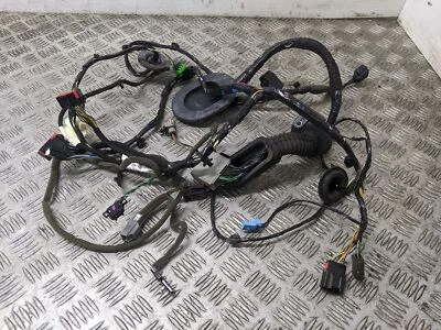 Land Rover Range Rover Sport Mk1 2009-2013 Door Wiring Loom (o/s Front Driver)  - Image 1 of 4