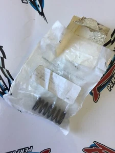 New Seadoo OEM Valve Spring 420838280 - Bild 1 von 2
