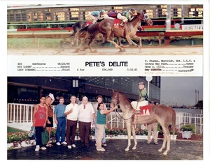 Hawthorne Horse Race Course 8/24/98 PETE'S DELITE 8"x10" Track Win Photo - Picture 1 of 4
