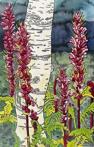 Original Art Watercolor Painting “Sandia Summer” Signed  22 x 15 Flowers Tree - Picture 1 of 4