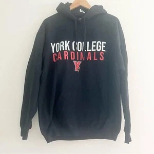 NWT York College Cardinals Gildan Tag Hooded Sweatshirt CUNY Basketball Unisex L - Picture 1 of 7