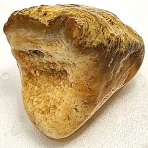 Jasper Agate Crystal Stone Specimen Botryoidal Tooth - Picture 1 of 9