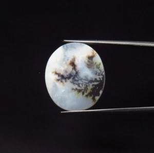Natural Shazar Agate Dendrite Gems 22x19m Shazar Dendrite Scenic Oval Cabs SA-26 - Picture 1 of 4