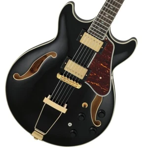 Ibanez AMH90-BK Electric Semi-Acoustic Guitar Black with Gig Bag From Japan - Picture 1 of 12