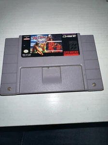 CARTOUCHE Dig and Spike Volleyball (SNES, 1991) UNIQUEMENT, TESTÉE/FONCTIONNELLE - Photo 1/5