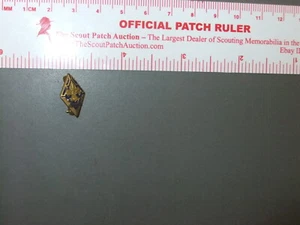 Boy Scout Five Year Veteran Lapel Pin 5621EE - Picture 1 of 2