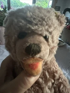 Antiker Steiff Teddy Floppy 20 cm H,18 cm,Bär, Steiffteddy Knopf im Ohr, um 1952 - Bild 1 von 12