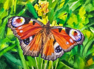 Watercolor Painting Butterfly Insect Flowers Nature ACEO Art No.277 - Picture 1 of 2