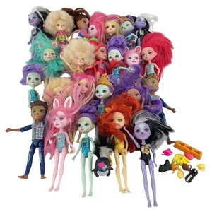 Lot mixte 2+ lb Mattel Enchantimals fashion play poupées et accessoires occasion - Photo 1/6