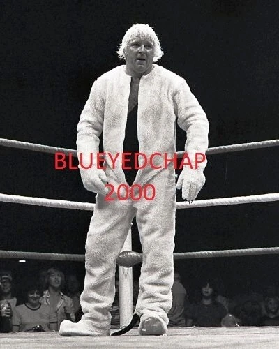 BOBBY HEENAN EN TRAJE DE COMADREJA LUCHADOR 8 X 10 FOTO DE LUCHA LIBRE AWA WWF Foto 1 de 1