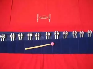 11 Horquillas de afinación planetarias ponderadas nuevas + mazo + bolsa - Imagen 1 de 1