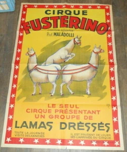 Affiche Cirque Fustérino direction équestre prof. Maladolli Le Seul Cirque - Picture 1 of 1