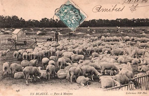 CPA 28 EN BEAUCE - Parc à Moutons - Imagen 1 de 2