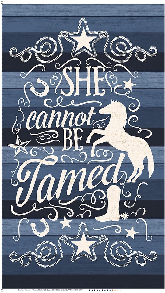 23" Fabric Panel - Timeless Treasures She Cannot Be Tamed Western Cowgirl Blue - Image 1 of 1