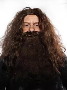 Hagrid Brown Beard and Costume Wig by Allaura Harry Potter Inspired - Picture 1 of 3