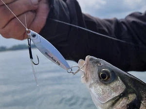 Casting Jig, Metal Slow Jigging Lure Perfect for Bass 30g SPJ - Picture 1 of 11