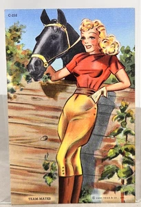 Genuine Curt Teich C. T. Streamline Sports Post Card - Unused - Team-Mates Horse - Picture 1 of 2