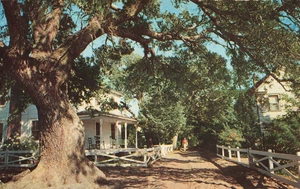 Entlang der Dorfstraße - Ocracoke Island North Carolina NC - Postkarte - Bild 1 von 2