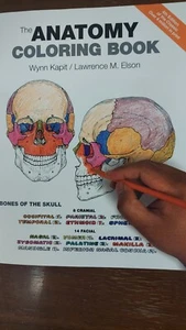 The Anatomy Coloring Book (4th Edition) Kapit & Elson ISBN-13: 978-0-321-83201-6 - Picture 1 of 1