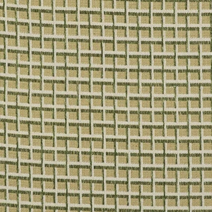 Gaston y Daniela Outdoor Karo Polsterstoff - Rejas/Verde 3 yd GDT5513.003 - Bild 1 von 3