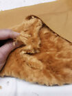 Sassy Bears Poly Plush Fur for Bears & Crafts - Fat 1/4 yard - DARK GOLD