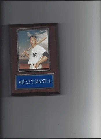 MICKEY MANTLE PLAQUE BASEBALL NEW YORK YANKEES NY MLB Cover
