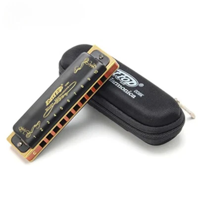 10 孔全音阶蓝调 Harmonica Mouth Ogan Woodwind 乐器 Melodica — 第 1/4 张图片