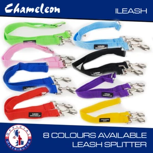 Dog Lead Splitter Double 42cm 2 Way / Coupler 5 YR Guarantee Chameleon - Picture 1 of 19