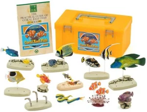 Coral Reef Fish Official Colorata Real Figure (17 figures of 12 types) - Picture 1 of 9