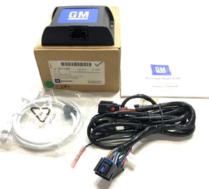GM Personal Audio Link iPod Aux Cord Kit 19171028 Cobalt HHR G5 2006-08 (1095) - Picture 1 of 1
