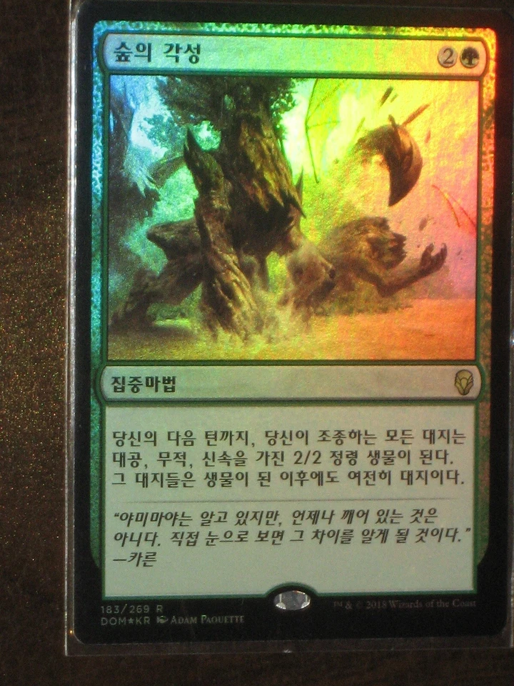 (Foil) [NM] MTG Korean, Dominaria, 1 x Sylvan Awakening - Image 1 of 1