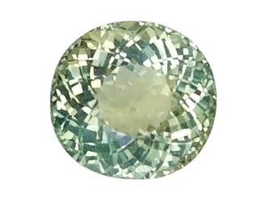 Piedras preciosas sueltas corte ovalado turmalina natural verde 7,14 CTS "ver video " - Imagen 1 de 3