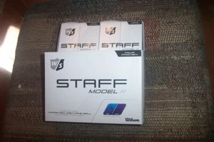 1 dozen BRAND NEW Wilson Staff Model R golf balls Unpainted white Urethane - Picture 1 of 1