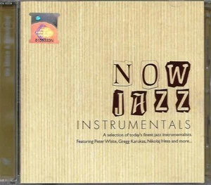 Now Jazz Instrumentals 2CD Peter White Gregg Karukas Nikolaj Hess Kenny Werner - Picture 1 of 6
