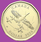2026 CANADA O CANADA ONE DOLLAR LOONIE COIN. MINT UNC. KING CHARLES 2026 CANADA O CANADA ONE DOLLAR LOONIE COIN. MINT UNC. KING CHARLES