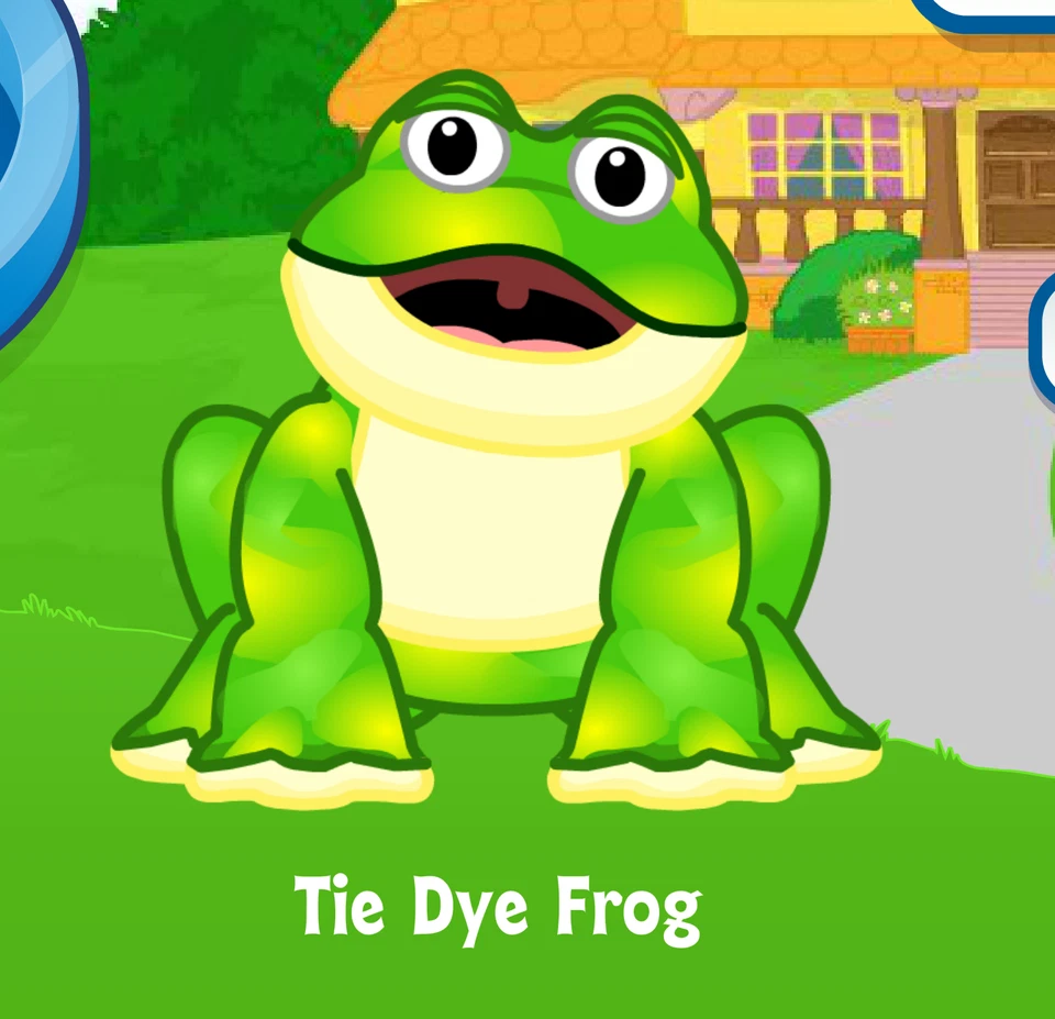 Webkinz Tie Dye Frog Virtual PET Adoption Code Only Messaged Webkinz Green Frog! - Image 1 of 1