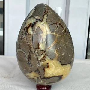 3140g Natürlicher Schildkrötenrückenstein Eiform Drache Kristall Riss Heilung - Bild 1 von 10