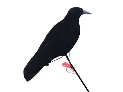 PECKING CROW DECOY MOTORISED 6V ULTRA REALISTIC HIGH DEFINITION DECOY WITH STAKE - Image 1 of 2