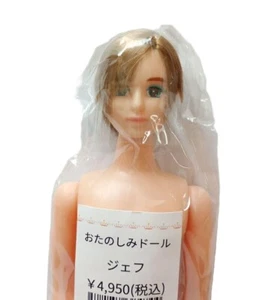 Castillo Licca-chan Jenny Friend Jeff OTANOSHIMI Muñeca Marrón Moda Muñeca Japón - Imagen 1 de 4
