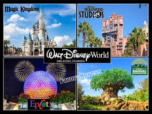 IMÁN FOTOGRÁFICO DE PARQUES DISNEYWORLD grande 5,25 X 4 pulgadas - Imagen 1 de 1
