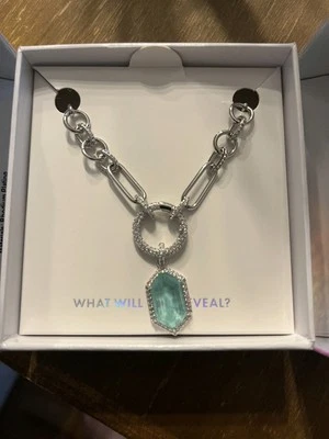 Collar de concientización sobre salud mental Bomb Party en rodio Foto 1 de 2