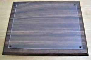 HARTHOLZ WANDRELIEF 10,5" X 13" X 1/2" MIT PLEXIGLASABDECKUNG KANN 2-WEGE MONTIERT WERDEN - Bild 1 von 2