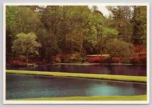 Cartolina Charleston SC Middleton Place Farfalla Lago Continentale 4x6 Vintage - Foto 1 di 2