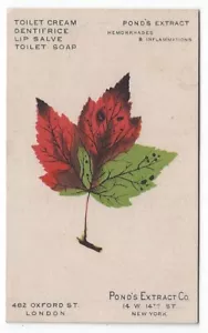 Vintage Trade Card Advertising Pond's Extract, Colorful Leaf - Picture 1 of 2