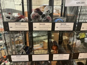 Spornette HARD TO FIND Hair Brushes ** CHOOSE YOUR BRUSH ** - Picture 1 of 1