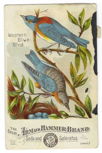Western Blue Bird Arm & Hammer Hübsche Vogelkarte Kirche & Co #22 um 1890 - Bild 1 von 2