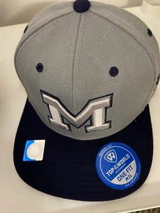 Michigan Wolverines TOW One Fit Gray Memory Fit Hat Men M-L - Picture 1 of 5
